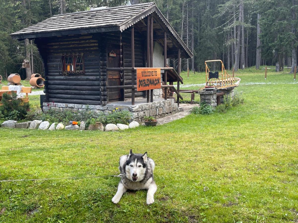 Wildhomes Wild Wolf Lodge Courmayeur Esterno foto