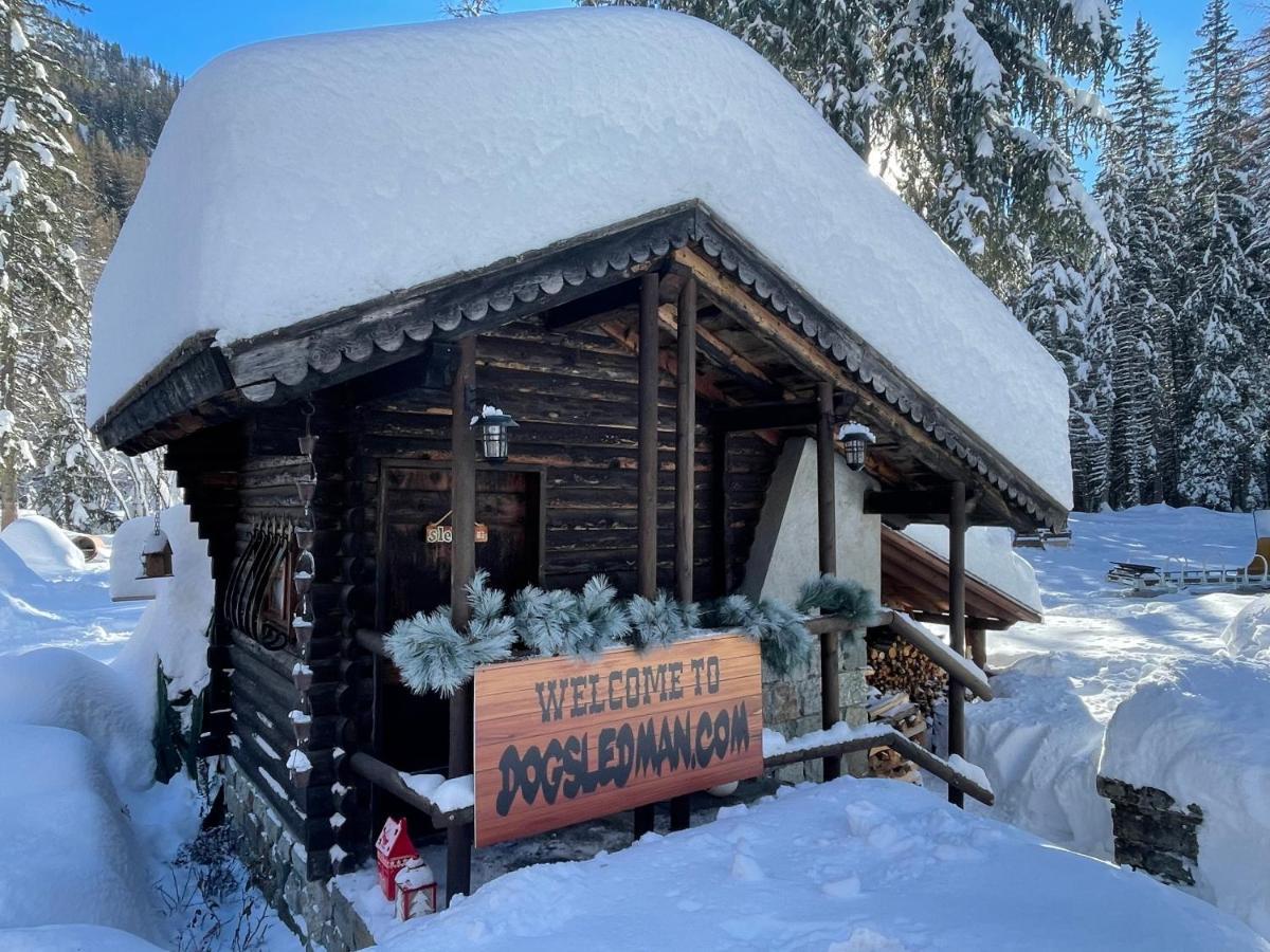 Wildhomes Wild Wolf Lodge Courmayeur Esterno foto
