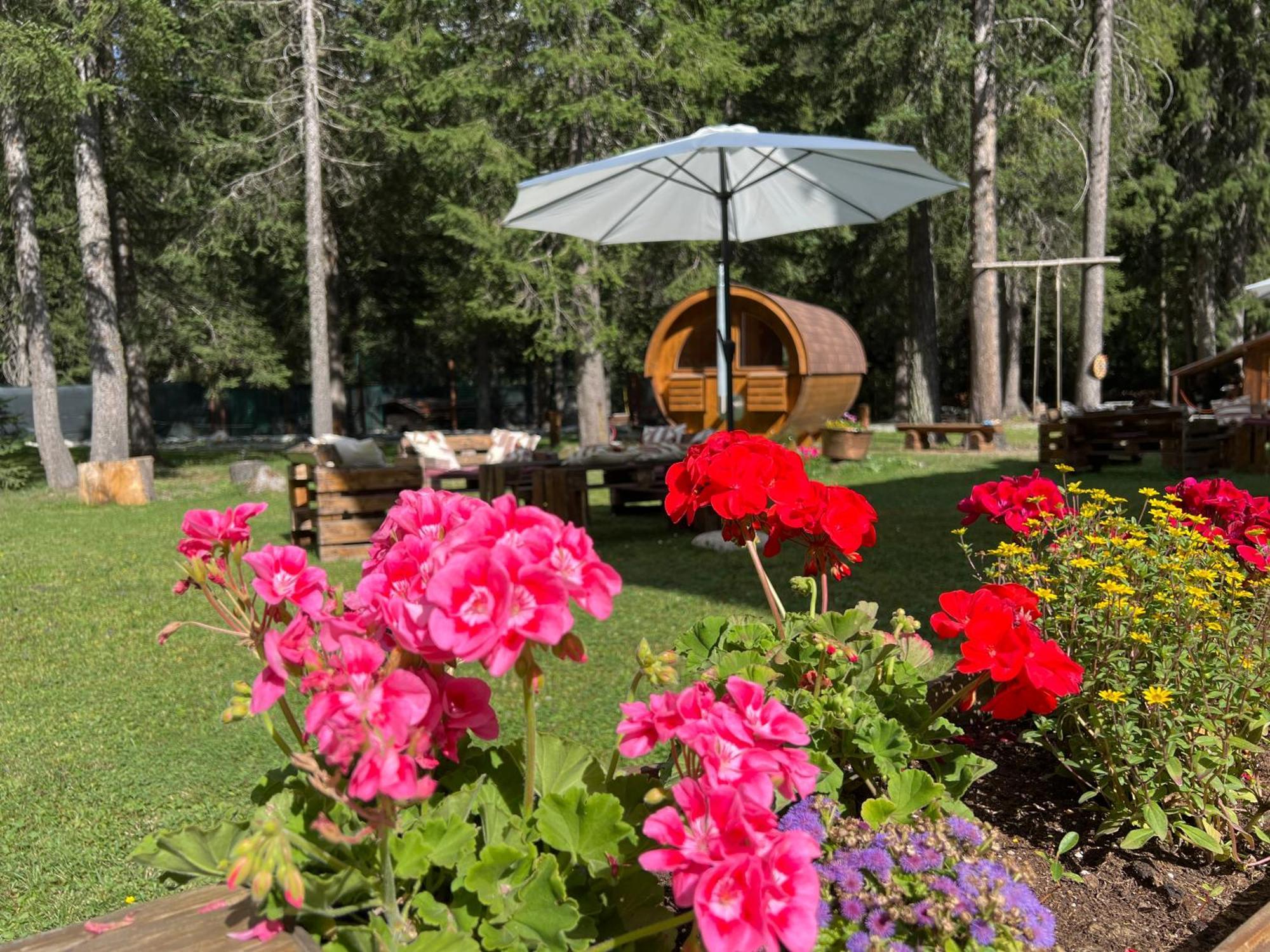 Wildhomes Wild Wolf Lodge Courmayeur Esterno foto